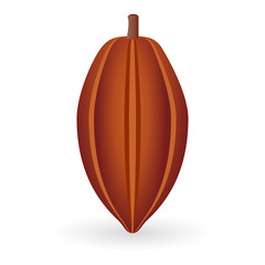 Vector illustration of cocoa bean isolated on white background