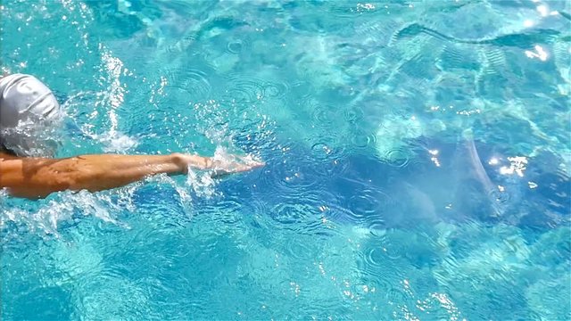 A man swimming freestyle in a pool, slow motion