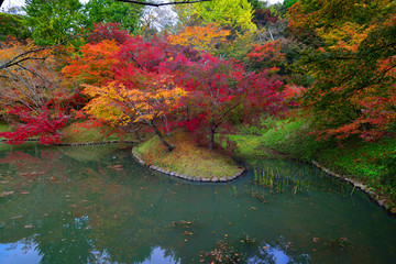 用作公園の紅葉