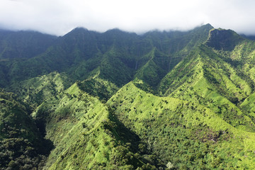 Fototapeta na wymiar Wonderful nature in Kauai, Hawaii