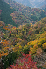 Autumn Foliage in Tottori, Japan