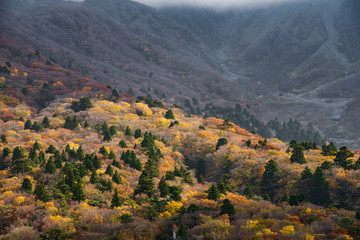 Autumn in Tottori, Japan