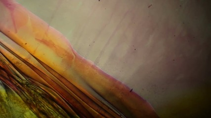 Chemical reaction under microscope