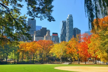 Foto auf Acrylglas Central Park Central Park Autumn