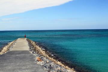 Obraz premium 青い海と赤い服