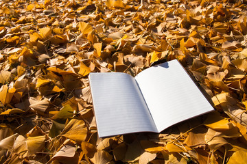  Fallen autumn leaves background with open book in outdoor 