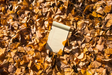 Note pad on the Fallen autumn leaves background
