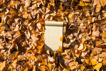 Note pad on the Fallen autumn leaves background