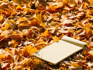 Note pad on the Fallen autumn leaves background