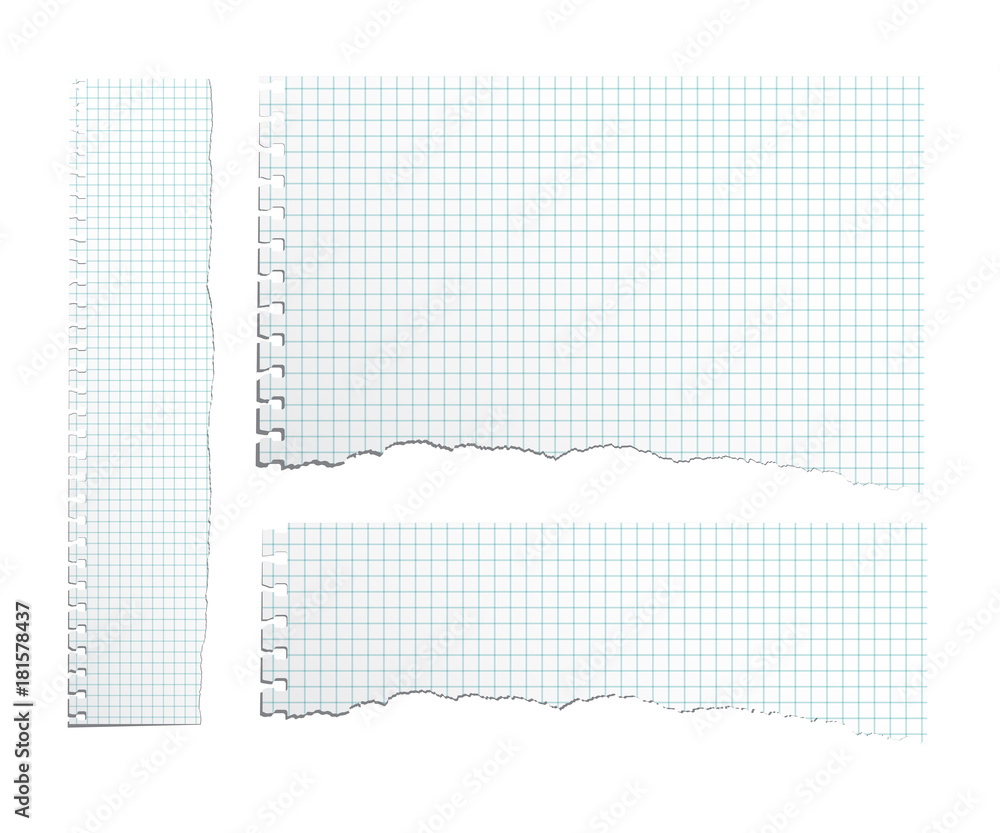 Poster vector different proportion torn copybook paper. torn copybook sheet set.