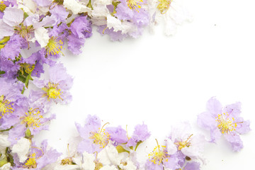 Obraz na płótnie Canvas Lagerstroemia purple Floral Isolated on white background. Purple flowers border frame.