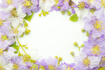 Obraz na płótnie Canvas Lagerstroemia purple Floral Isolated on white background. Purple flowers border frame.