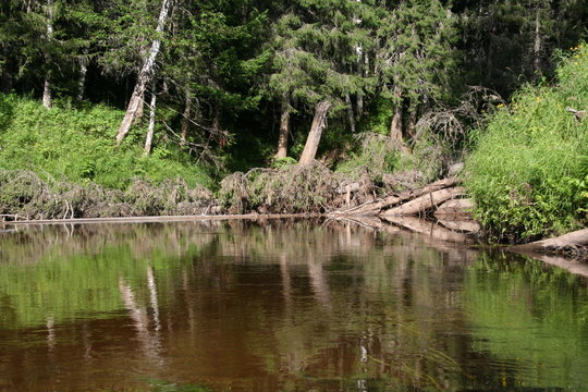 River Aringa. The Republic Of Komi. (The Vast Russia! Sergey, Bryansk.)