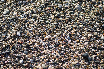 Sea pebbles