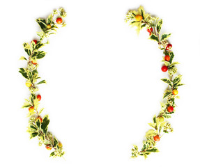 Naklejka premium ヒイラギの葉とクマタケランの実とツルソバの花のクリスマスの飾り