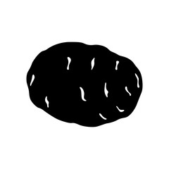 Tuber of potato ( Solanum tuberosum )
