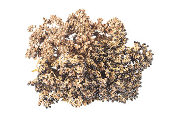 Zanthozylum limonella Alston herb test hot and spices on white background