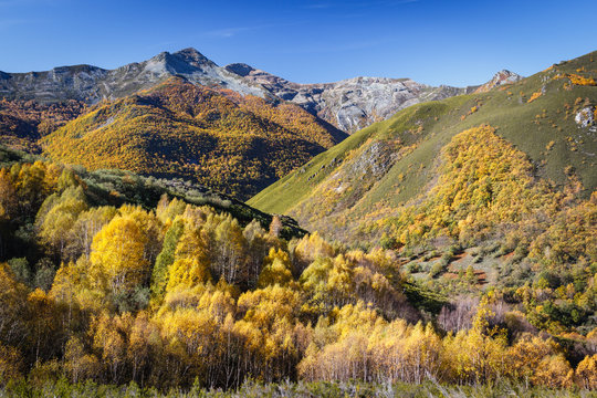 Valle y montañas en otoño. Espacio Natural Sierra de Los Ancares.
