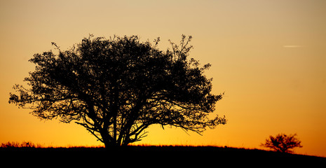 sunrise at sunrise in the mountains