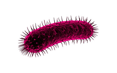 3d rendered Bacteria cells in white background