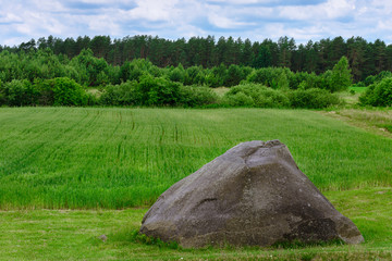 A big stone in the field, Druskininkai, Lithuania