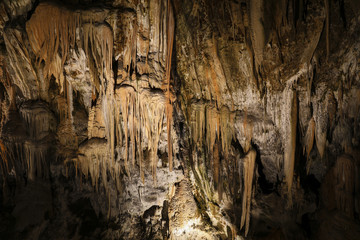 Fototapeta premium Postojna Cave (Slovenian: Postojnska jama; Italian: Grotte di Postumia) is a 20,570 m long Karst cave system