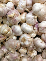 garlic