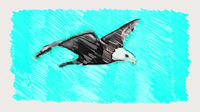 marker drawn bald eagle sky fly stop motion cartoon animation seamless loop - new quality nature animals handmade retro vintage colorful video footage