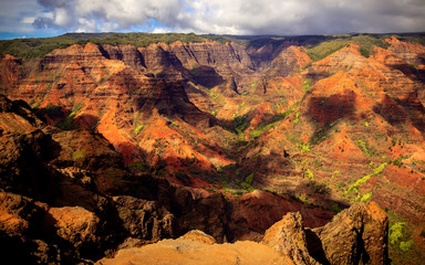 Fototapeta premium Waimea canyon Hawaii