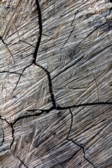Wood cracked texture background.