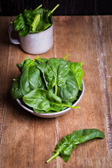 green fresh spinach