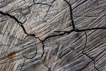 Wood cracked texture background.