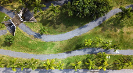 Aerial view of palm trees in jogging public park
