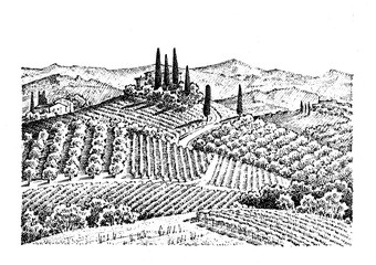 rustic vineyard. rural landscape with houses. solar tuscany background. fields and cypress trees. harvesting and haystacks. engraved hand drawn in old sketch and vintage style for label.