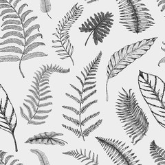 tropical or exotic leaves. seamless pattern. leaf of different vintage looking plants. palm with banana botany set. flowers engraved vintage, hand drawn. botanical organic product. green background.