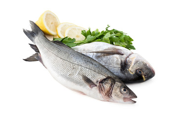 Fresh Fish on white.