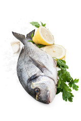 Fresh Fish on white.