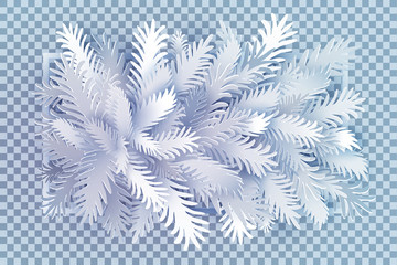 Christmas tree branches with white thin frame isolated on transparent background. Happy New year background for invitation, poster, card or leafet. Vector illustration. Paper art cut out design.