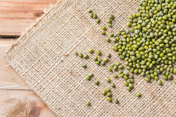 Green bean or mung bean background