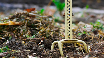 jachère du jardin,feuilles et compost d'hiver