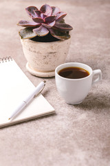 Obraz na płótnie Canvas Notebook, pen, succulent plant and coffee. Workplace. Horizontal view