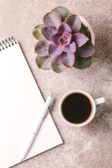 Notebook, pen, succulent plant and coffee. Workplace. Top view