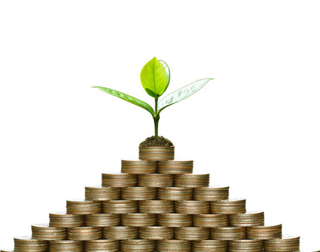 Image of pile of coins with plant on top for business, saving, growth, economic concept isolated on white background