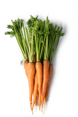 Carrot