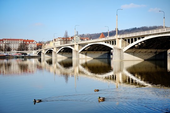 Prague, Czech Republic - a bridge and geese swimming in Vltava river