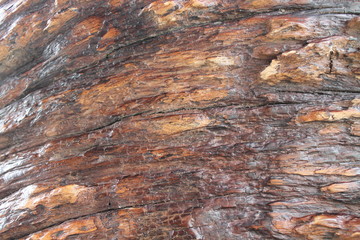Lacquer on a boat or yacht