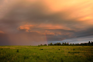 Rainbow in summer in the field