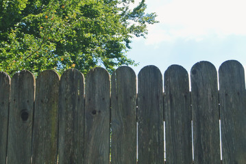 Close-up of an old wooden rural fence with a garden orchard behind. Copy space for text.
