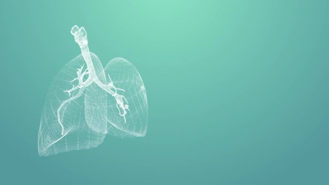 Spinning lungs with plexus	