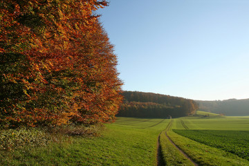 Wanderweg auf der Albhochfläche bei Bad Urach